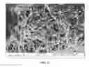Fig. 12 - Nanowire preparation methods, compositions, and articles