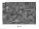 Fig. 13 - Nanowire preparation methods, compositions, and articles
