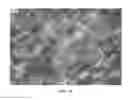 Fig. 14 - Nanowire preparation methods, compositions, and articles
