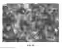 Fig. 15 - Nanowire preparation methods, compositions, and articles