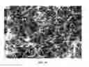 Fig. 16 - Nanowire preparation methods, compositions, and articles
