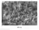 Fig. 17 - Nanowire preparation methods, compositions, and articles