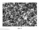 Fig. 18 - Nanowire preparation methods, compositions, and articles