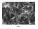 Fig. 20 - Nanowire preparation methods, compositions, and articles
