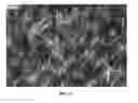 Fig. 22 - Nanowire preparation methods, compositions, and articles