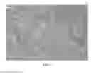 Fig. 02 - Nanowire preparation methods, compositions, and articles