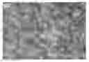 Fig. 01 - Nanowire preparation methods, compositions, and articles