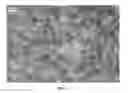 Fig. 02 - Nanowire preparation methods, compositions, and articles