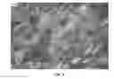 Fig. 09 - Nanowire preparation methods, compositions, and articles