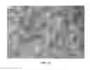 Fig. 16 - Nanowire preparation methods, compositions, and articles