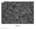 Fig. 28 - Nanowire preparation methods, compositions, and articles