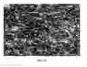 Fig. 30 - Nanowire preparation methods, compositions, and articles