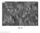 Fig. 34 - Nanowire preparation methods, compositions, and articles