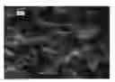 Fig. 01 - NANOWIRE PREPARATION METHODS, COMPOSITIONS, AND ARTICLES