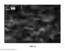 Fig. 05 - NANOWIRE PREPARATION METHODS, COMPOSITIONS, AND ARTICLES