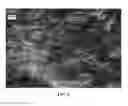 Fig. 06 - NANOWIRE PREPARATION METHODS, COMPOSITIONS, AND ARTICLES