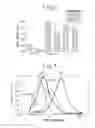 Fig. 04 - Porous composite oxide and production method thereof