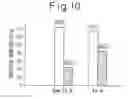 Fig. 06 - Porous composite oxide and production method thereof