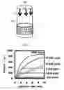 Fig. 04 - METHOD FOR PRODUCING CARBON NANOTUBE ASSEMBLY HAVING HIGH SPECIFIC SURFACE AREA