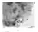 Fig. 02 - PROCESS FOR THE PREPARATION OF CHLORINE BY GAS PHASE OXIDATION ON NANOSTRUCTURED SUPPORTED RUTHENIUM CATALYSTS