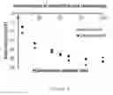 Fig. 03 - Targeting Kidney Mesangium With Nanoparticles of Defined Diameter