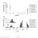 Fig. 04 - Targeting Kidney Mesangium With Nanoparticles of Defined Diameter