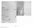 Fig. 08 - Targeting Kidney Mesangium With Nanoparticles of Defined Diameter