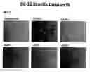 Fig. 01 - Anti-NGF compositions and use thereof