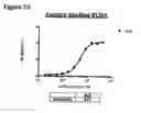Fig. 47 - Anti-NGF compositions and use thereof