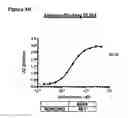 Fig. 62 - Anti-NGF compositions and use thereof