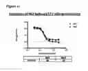 Fig. 63 - Anti-NGF compositions and use thereof