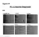 Fig. 81 - Anti-NGF compositions and use thereof