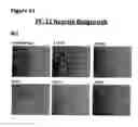 Fig. 83 - Anti-NGF compositions and use thereof
