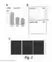 Fig. 04 - Methods for treating nicotinic acetylcholine receptor associated diseases