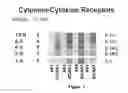 Fig. 02 - Compositions and Methods for the Systemic Treatment of Arthritis