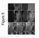 Fig. 06 - Peptides and aptamers for targeting of neuron or nerves