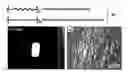 Fig. 01 - Use of a fluorinated polymer as a contrast agent in solid state 19F magnetic resonance imaging (MRI), scaffold comprising said polymer and use thereof