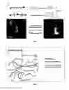 Fig. 06 - Use of a fluorinated polymer as a contrast agent in solid state 19F magnetic resonance imaging (MRI), scaffold comprising said polymer and use thereof