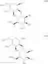 Fig. 28 - Carbohydrate-mediated tumor targeting