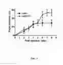 Fig. 04 - Formicidae (ant) control using double-stranded RNA constructs