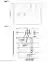 Fig. 13 - STRONGLY INACTIVATED AND STILL HIGHLY IMMUNOGENIC VACCINE AND PROCESS OF MANUFACTURING THEREOF