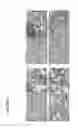 Fig. 08 - COMPOSITIONS AND METHODS TO INDUCE TARGETED APOPTOSIS