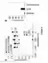 Fig. 05 - Method for the treatment or prevention of virus infection using polybiguanide-based compounds