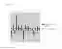Fig. 11 - Method of treating pulmonary disease with interferons