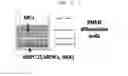 Fig. 02 - COMPOSITION FOR HARD TISSUE FORMATION AND, DENTIN OR PULP REGENERATION CONTAINING AMELOBLAST, APICAL BUD CELL OR ITS CULTURE FLUID AS AN ACTIVE INGREDIENT