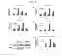Fig. 06 - COMPOSITION FOR HARD TISSUE FORMATION AND, DENTIN OR PULP REGENERATION CONTAINING AMELOBLAST, APICAL BUD CELL OR ITS CULTURE FLUID AS AN ACTIVE INGREDIENT