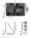 Fig. 02 - Methods and Compositions for Tissue Engineering