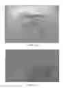 Fig. 09 - Conditioned medium and proliferated cell lines produced therefrom