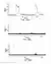 Fig. 13 - Conditioned medium and proliferated cell lines produced therefrom