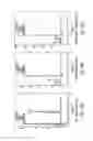 Fig. 16 - Conditioned medium and proliferated cell lines produced therefrom